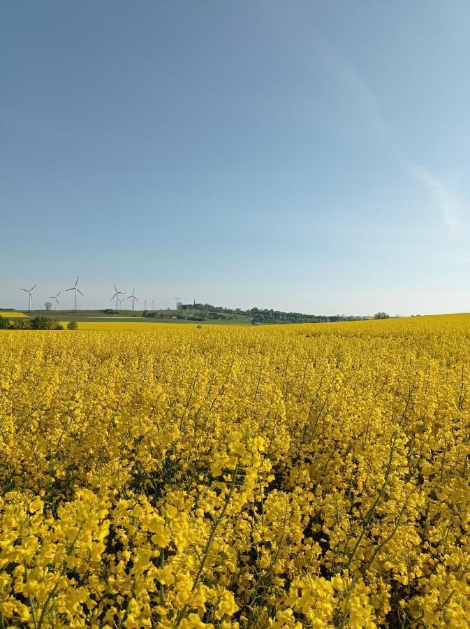 Domki W Rusinowie Blisko Morza Jarosławiec Exterior foto